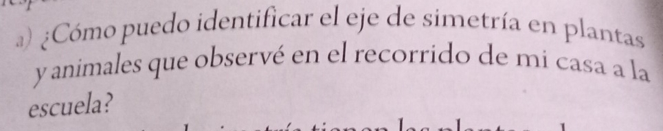 ) ¿Cómo puedo identificar el eje de simetría en plantas 
y animales que observé en el recorrido de mi casa a la 
escuela?