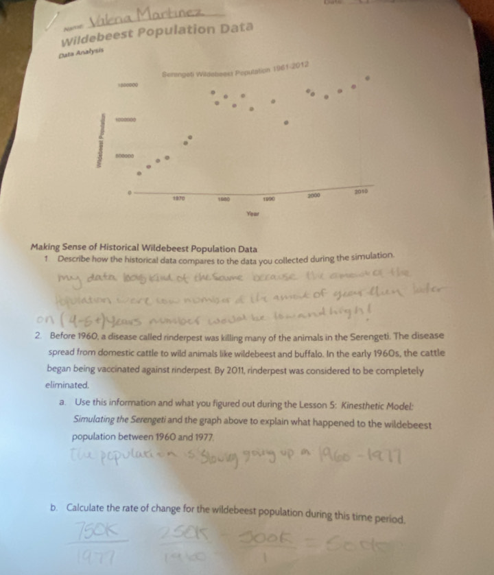 Name 
_ 
Wildebeest Population Data 
Data Analysis 
Making Sense of Historical Wildebeest Population Data 
1 Describe how the historical data compares to the data you collected during the simulation. 
2. Before 1960, a disease called rinderpest was killing many of the animals in the Serengeti. The disease 
spread from domestic cattle to wild animals like wildebeest and buffalo. In the early 1960s, the cattle 
began being vaccinated against rinderpest. By 2011, rinderpest was considered to be completely 
eliminated. 
a. Use this information and what you figured out during the Lesson 5: Kinesthetic Model: 
Simulating the Serengeti and the graph above to explain what happened to the wildebeest 
population between 1960 and 1977. 
b. Calculate the rate of change for the wildebeest population during this time period.