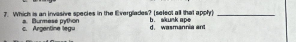Which is an invasive species in the Everglades? (select all that apply)_
a. Burmese python b. skunk ape
c. Argentine legu d. wasmannia ant