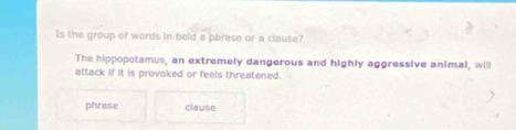 Is the group of words in bold a phrase or a clause? 
The hippopolamus, an extremely dangerous and highly aggressive animal, will 
attack if it is provoked or feels threatened. 
phrase clause