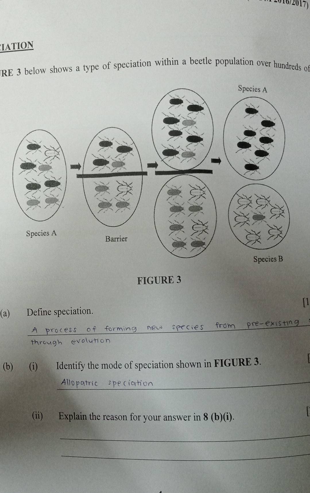 2016/2017) 
IATION 
RE 3 below shows a type of speciation within a beetle population over hundreds of 
FIGURE 3 
(a) Define speciation. 
_ 
through evolution 
(b) (i) Identify the mode of speciation shown in FIGURE 3. 
_ 
(ii) Explain the reason for your answer in 8 (b)(i). 
_ 
_