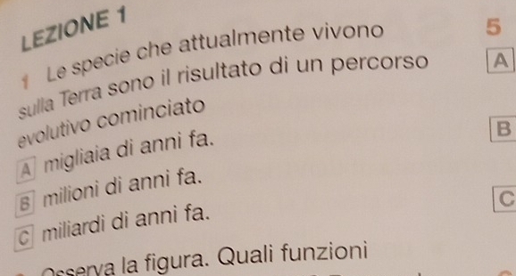 LEZIONE 1
Le specie che attualmente vivono
5
sulla Terra sono il risultato di un percorso A
evolutivo cominciato
A migliaia di anni fa.
B
B milioni di anni fa.
C
c miliardi di anni fa.
Osserva la figura. Quali funzioni