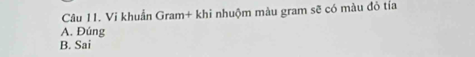 Vi khuẩn Gram+ khi nhuộm màu gram sẽ có màu đỏ tía
A. Đúng
B. Sai