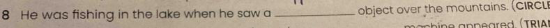 He was fishing in the lake when he saw a _object over the mountains. (CIRCL