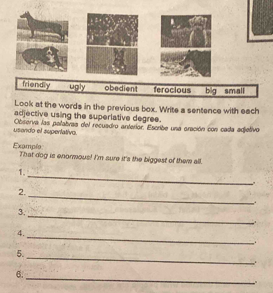 ords in the previous box. Write a sentence with each 
adjective using the superlative degree. 
Observa las palabras del recuadro anterior. Escribe una oración con cada adjetivo 
usando el superlativo. 
Example: 
That dog is enormous! I'm sure it's the biggest of them all. 
_ 
1、 
. 
_ 
2. 
. 
_ 
3. 
. 
_ 
4. 
. 
_ 
5. 
. 
_ 
6. 
.