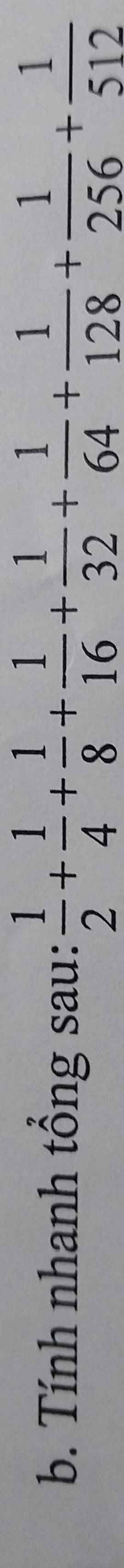 Tính nhanh tổng sau:  1/2 + 1/4 + 1/8 + 1/16 + 1/32 + 1/64 + 1/128 + 1/256 + 1/512 