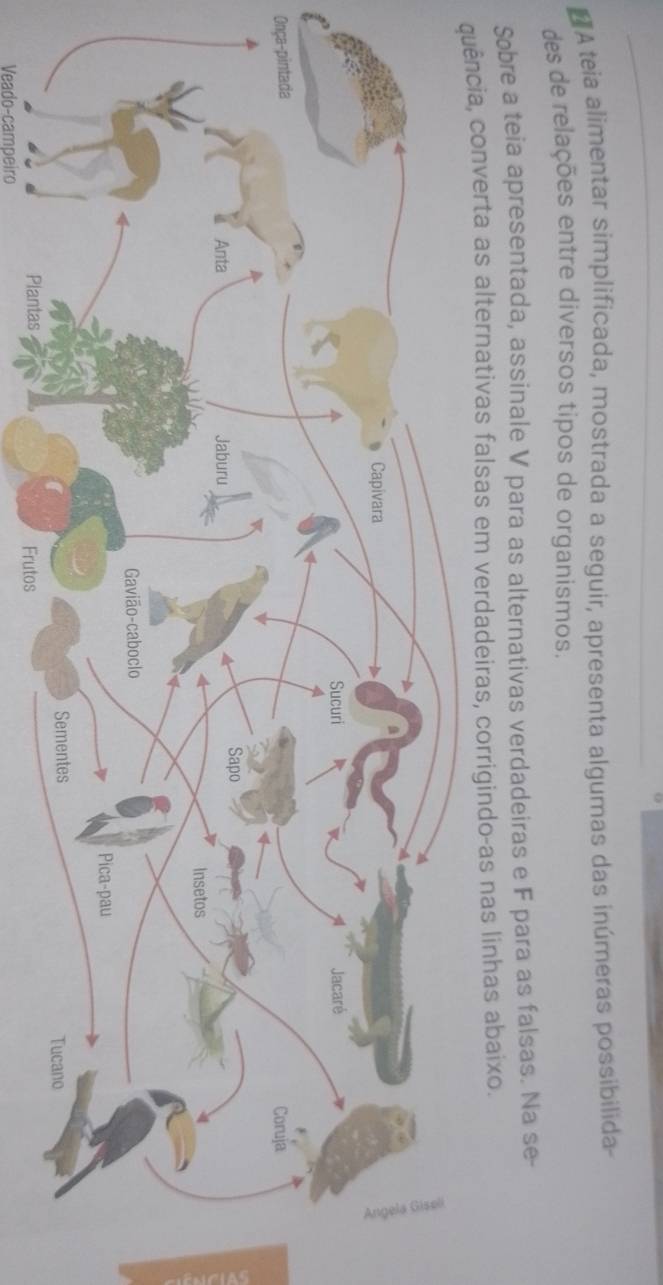 A teia alimentar simplificada, mostrada a seguir, apresenta algumas das inúmeras possibilida- 
des de relações entre diversos tipos de organismos. 
Sobre a teia apresentada, assinale V para as alternativas verdadeiras e F para as falsas. Na se- 
ia, converta as alternativas falsas em verdadeiras, corrigindo-as nas linhas abaixo. 
Onça-pintada 
Veado-campeiro