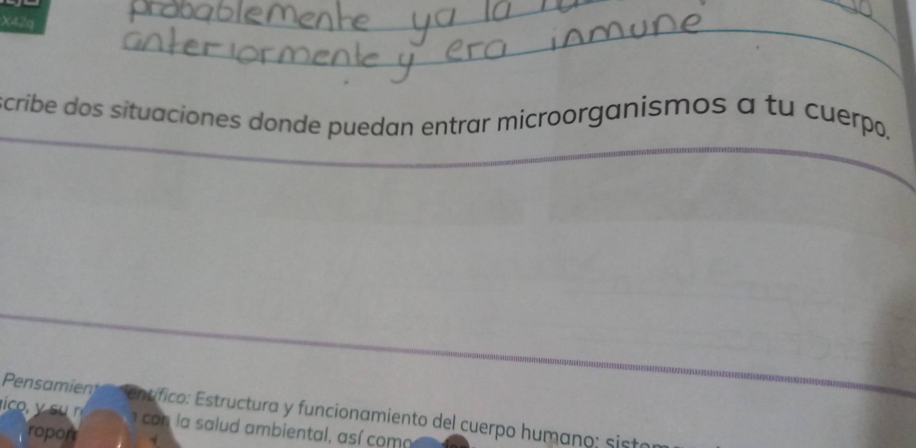 X42q 
scribe dos situaciones donde puedan entrar microorganismos a tu cuerpo. 
Pensamient entífico: Estructura y funcionamiento del cuerpo humano: sist 
i n con la salud ambiental, así coma 
roport