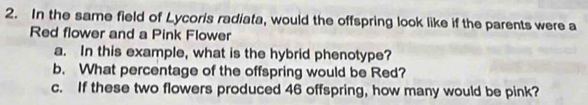 In the same field of Lycoris radiata, would the offspring look like if the parents were a 
Red flower and a Pink Flower 
a. In this example, what is the hybrid phenotype? 
b. What percentage of the offspring would be Red? 
c. If these two flowers produced 46 offspring, how many would be pink?