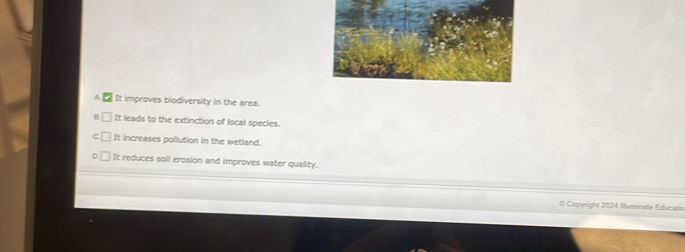 A It improves biodiversity in the area.
B It leads to the extinction of local species.
C It increases pollution in the wetland.
It reduces soil erosion and improves water quality.
* Copyright 2024 Illuminade Educadio