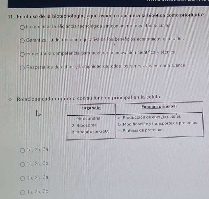 61.- En el uso de la biotecnología, ¿qué aspecto considera la bioética como prioritario?
Incrementar la eficiencia tecnológica sin considerar impactos sociales.
Garantizar la distribución equitativa de los beneficios económicos generados.
Fomentar la competencia para acelerar la innovación científica y técnica.
Respetar los derechos y la dignidad de todos los seres vivos en cada avance.
62.- Relacione cada organelo con su función principal en la célula:
1c, 2b, 3a.
1a, 2c, 3b.
1b, 2c, 3a.
1a, 2b, 3c.