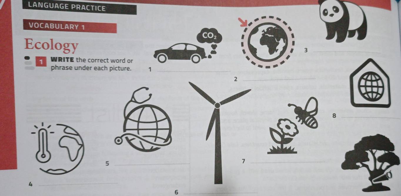 LANGUAGE PRACTICE 
VOCABULARY 1 
Ecology 
3 
1 WRITE the correct word or 
phrase under each picture. 
_8 
_5 
_4 
_6