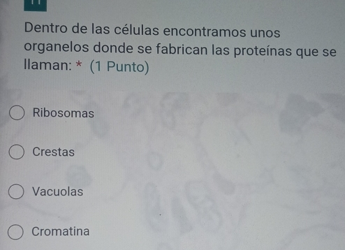 Dentro de las células encontramos unos
organelos donde se fabrican las proteínas que se
Ilaman: * (1 Punto)
Ribosomas
Crestas
Vacuolas
Cromatina