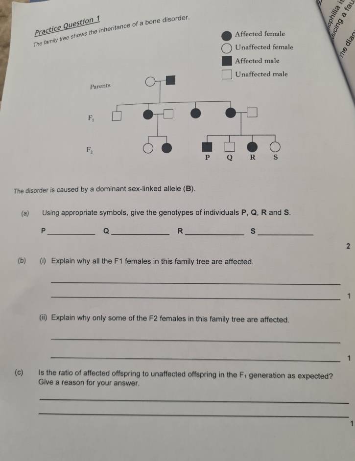 Practice Question 1
The family tree shows the inheritance of a bone disorder.
Affected female
Unaffected female
Affected male
The disorder is caused by a dominant sex-linked allele (B).
(a) Using appropriate symbols, give the genotypes of individuals P, Q, R and S.
_P
_Q
_R
s
_
2
(b) (i) Explain why all the F1 females in this family tree are affected.
_
_1
(ii) Explain why only some of the F2 females in this family tree are affected.
_
_1
(c) Is the ratio of affected offspring to unaffected offspring in the F_1 generation as expected?
Give a reason for your answer.
_
_
1