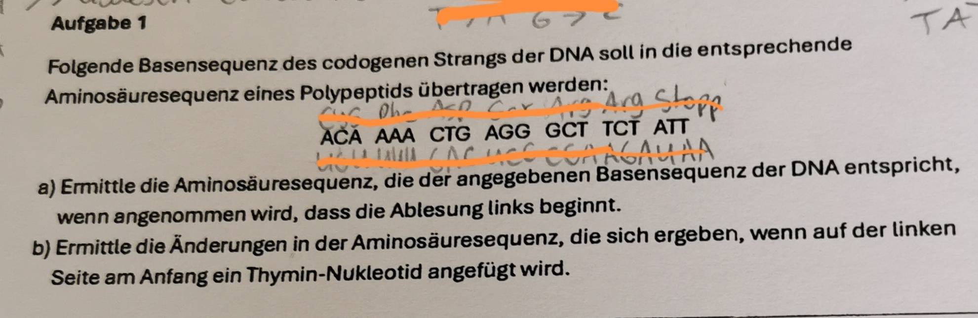 Gelöst:Aufgabe 1 Folgende Basensequenz des codogenen Strangs der DNA ...