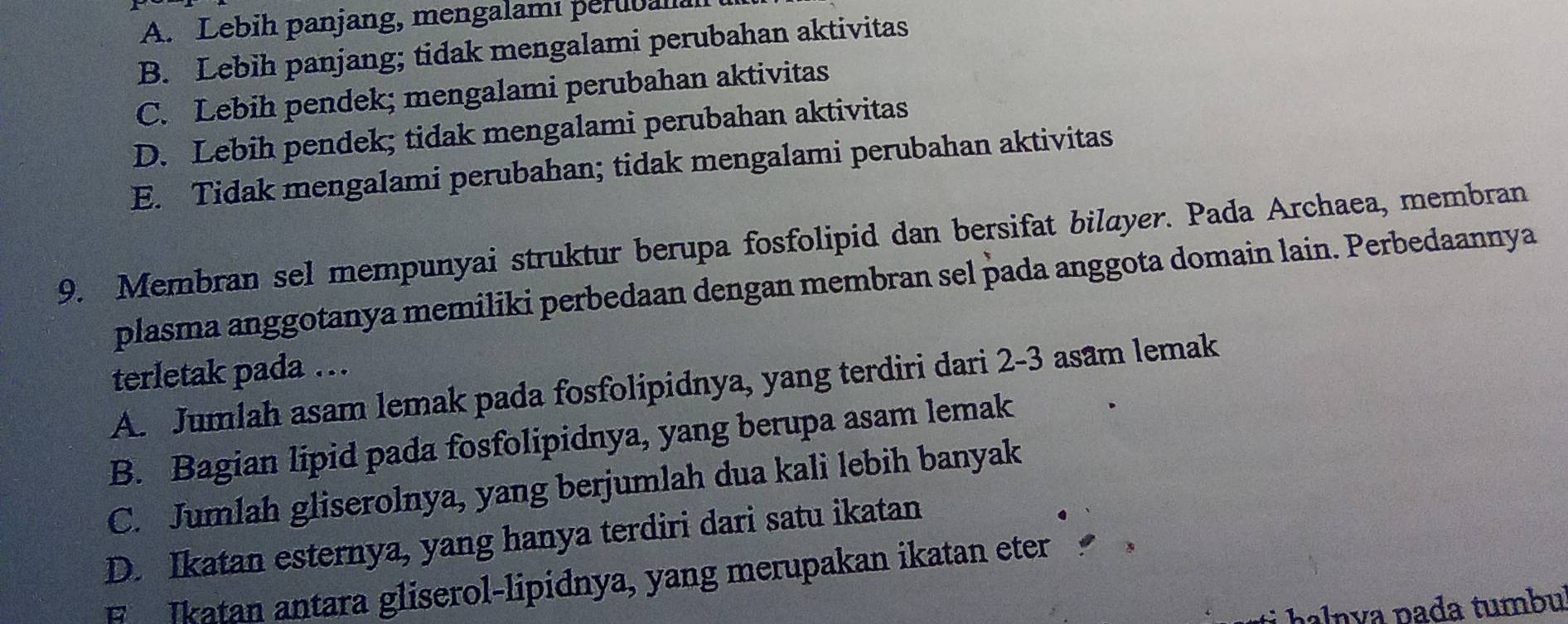 A. Lebih panjang, mengalamı perubal
B. Lebih panjang; tidak mengalami perubahan aktivitas
C. Lebih pendek; mengalami perubahan aktivitas
D. Lebih pendek; tidak mengalami perubahan aktivitas
E. Tidak mengalami perubahan; tidak mengalami perubahan aktivitas
9. Membran sel mempunyai struktur berupa fosfolipid dan bersifat bilayer. Pada Archaea, membran
plasma anggotanya memiliki perbedaan dengan membran sel pada anggota domain lain. Perbedaannya
terletak pada …
A. Jumlah asam lemak pada fosfolipidnya, yang terdiri dari 2-3 asam lemak
B. Bagian lipid pada fosfolipidnya, yang berupa asam lemak
C. Jumlah gliserolnya, yang berjumlah dua kali lebih banyak
D. Ikatan esternya, yang hanya terdiri dari satu ikatan
Ikatan antara gliserol-lipidnya, yang merupakan ikatan eter 
ha v p a da tumbu