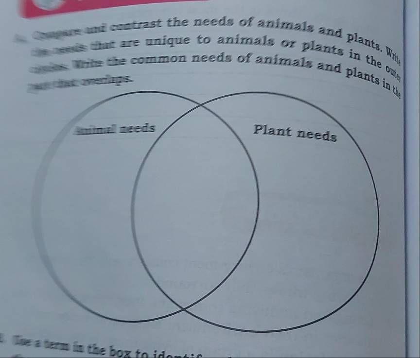 Compare and contrast the needs of animals and plants. Wriy 
ceeds that are unique to animals or plants in the out. 
oes. Whie the common needs of animals and plants 
verlags. 
1 Tne a term in the box to idor