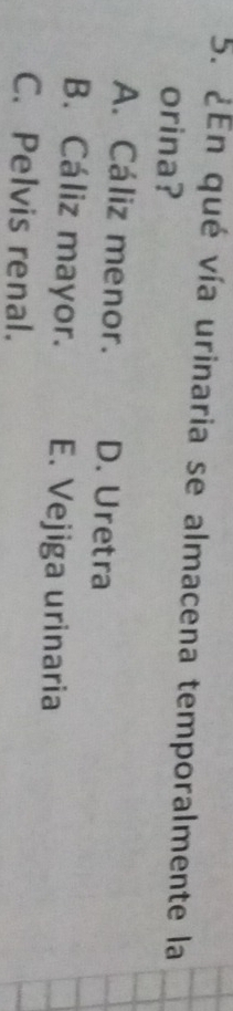 ¿En qué vía urinaria se almacena temporalmente la
orina?
A. Cáliz menor. D. Uretra
B. Cáliz mayor. E. Vejiga urinaria
C. Pelvis renal.