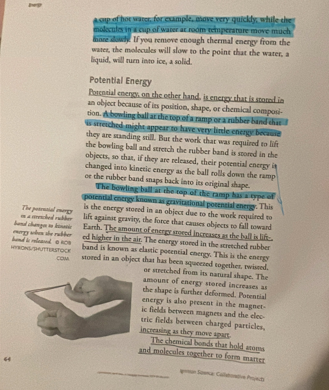 a cup of hot water, for example, move very quickly, while the 
molecules in a cup of water at room temperature move much 
more slowly. If you remove enough thermal energy from the 
water, the molecules will slow to the point that the water, a 
liquid, will turn into ice, a solid. 
Potential Energy 
Potential energy, on the other hand, is energy that is stored in 
an object because of its position, shape, or chemical composi- 
tion. A bowling ball at the top of a ramp or a rubber band that 
is stretched might appear to have very little energy because. 
they are standing still. But the work that was required to lift 
the bowling ball and stretch the rubber band is stored in the 
objects, so that, if they are released, their potential energy is 
changed into kinetic energy as the ball rolls down the ramp 
or the rubber band snaps back into its original shape. 
The bowling ball at the top of the ramp has a type of 
potential energy known as gravitational potential energy. This 
The potential energy is the energy stored in an object due to the work required to 
in a stretched rubber lift against gravity, the force that causes objects to fall toward 
band changes to kinetic Earth. The amount of energy stored increases as the ball is lift-. 
energy when the rubber ed higher in the air. The energy stored in the stretched rubber 
band is released. O ROB 
HYRONS/SHUTTERSTOCK band is known as elastic potential energy. This is the energy 
COM. stored in an object that has been squeezed together, twisted. 
or stretched from its natural shape. The 
amount of energy stored increases as 
the shape is further deformed. Potential 
energy is also present in the magnet- 
ic fields between magnets and the elec- 
tric fields between charged particles, 
increasing as they move apart. 
The chemical bonds that hold atoms 
and molecules together to form matter
64
_ 
Igmtion Science: Colleborative Projects