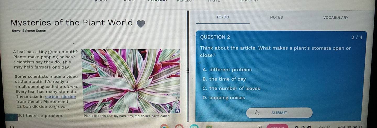 TO-DO NOTES VOCABULARY
Mysteries of the Plant World
News: Science Scene
QUESTION 2 2 / 4
Think about the article. What makes a plant's stomata open or
A leaf has a tiny green mouth
Plants make popping noises?close?
Scientists say they do. This
may help farmers one day.A. different proteins
Some scientists made a videB. the time of day
of the mouth. It's really a
small opening called a stomaC. the number of leaves
Every leaf has many stomata
These take in carbon dioxideD. popping noises
from the air. Plants need
carbon dioxide to grow.
SUBMIT
But there's a problem.