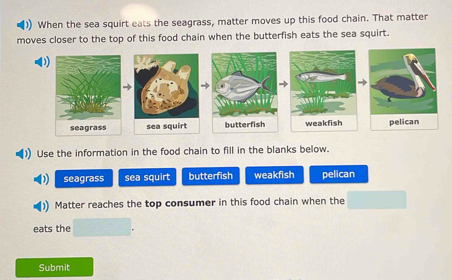 When the sea squirt eats the seagrass, matter moves up this food chain. That matter
moves closer to the top of this food chain when the butterfish eats the sea squirt.

sea squirt 
Use the information in the food chain to fill in the blanks below.
seagrass sea squirt butterfish weakfish pelican
Matter reaches the top consumer in this food chain when the
eats the
Submit