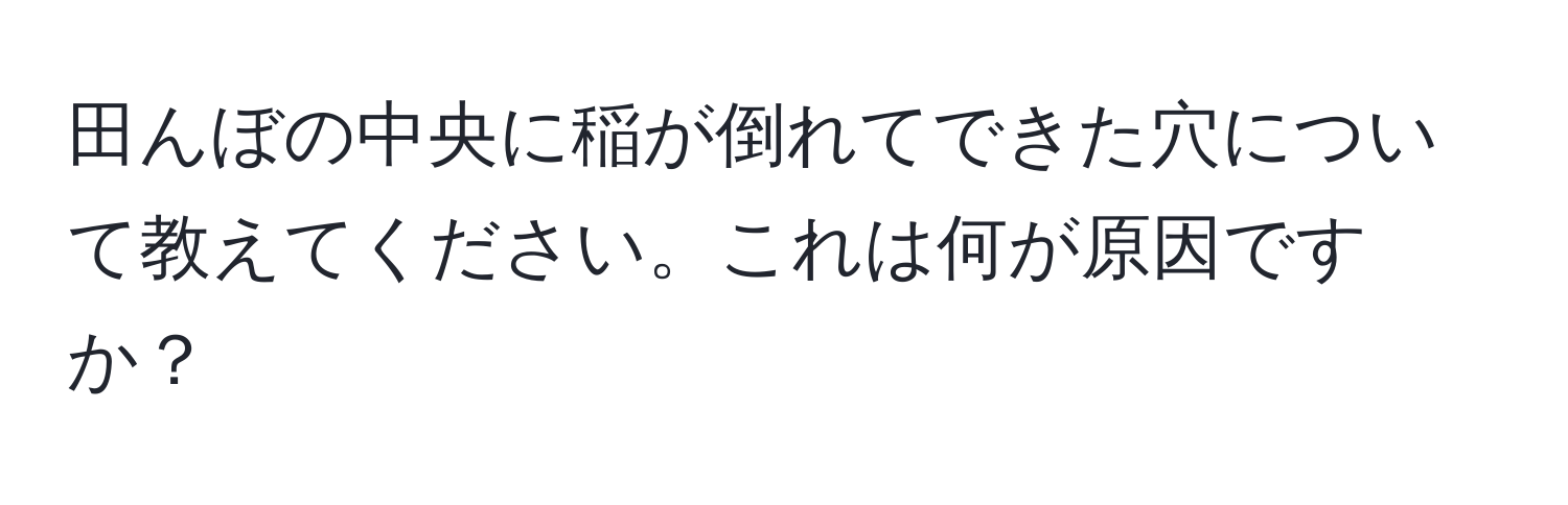 田んぼの中央に稲が倒れてできた穴について教えてください。これは何が原因ですか？