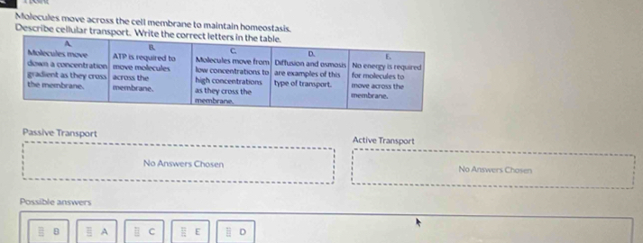 Molecules move across the cell membrane to maintain homeostasis.
Describe cellular transport. W
Passive Transport Active Transport
No Answers Chosen No Answers Chosen
Possible answers
B A C E D