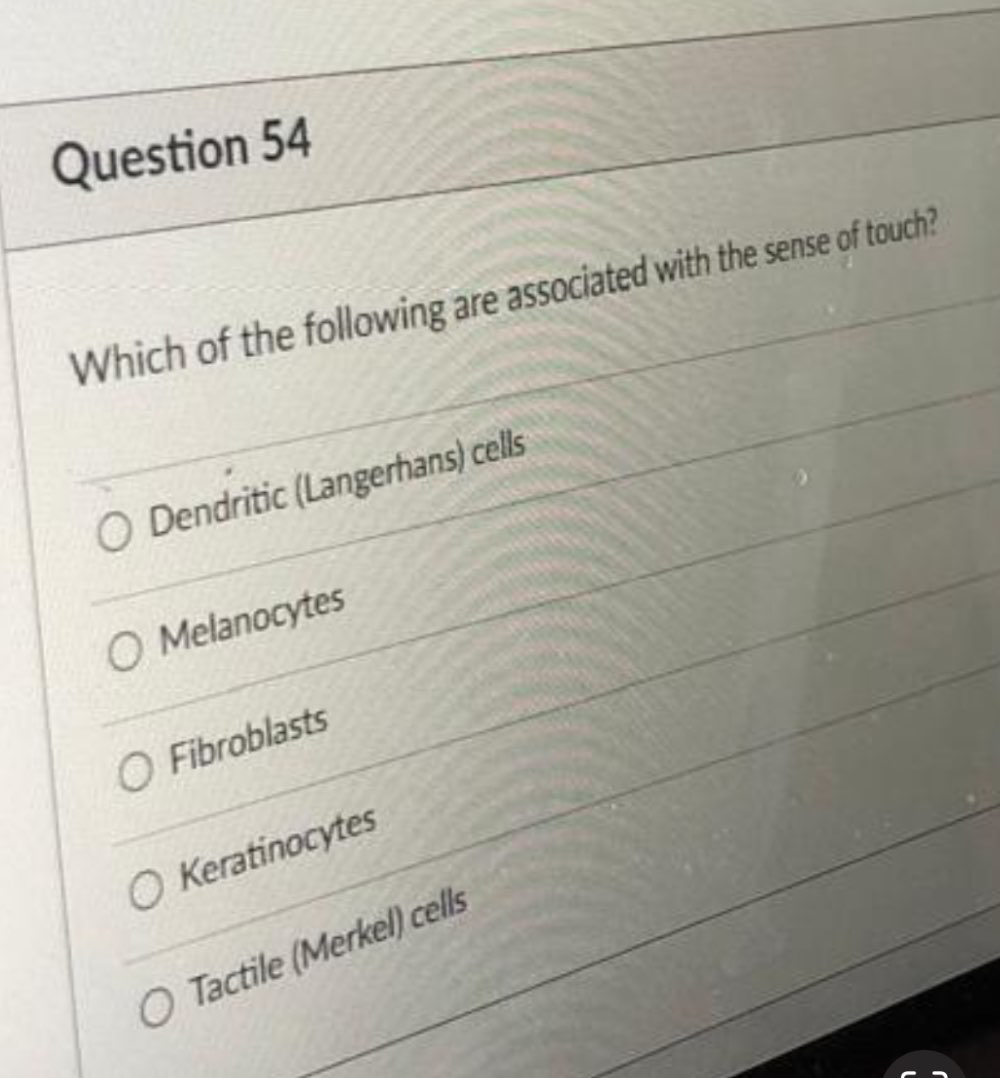 Which of the following are associated with the sense of touch?
Dendritic (Langerhans) cells
Melanocytes
Fibroblasts
Keratinocytes
Tactile (Merkel) cells