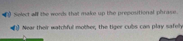 Select all the words that make up the prepositional phrase. 
Near their watchful mother, the tiger cubs can play safely