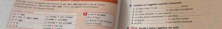 Al plurale, i nomi e gli aggettivi che finiscono in -au. -au e -eau aggiungono una -X, mentre
quelli che terminano in -al cambiano -af in -aur. I nomi e gli aggettivi che al singolare
Completa con l'aggettivo maschile o femminile.
2 un père  I un beau chien → une __tortue
finiscono con - o - rimanun aril → des yeux  3 un cousin péruvien → une cousine_
,  une mère courageuse
bieu → bieus 4 un élève pensif (pensieroso) → une élève
banal → banal 6 un prof 5 un garçon _→ une famille heureuse ... → une fille rousse
un festival → des festívals
curieur à curieu       Ascolta e índica l'aegettivo che senti.
