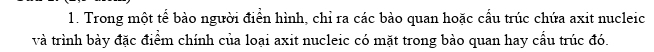 Trong một tể bào người điển hình, chỉ ra các bảo quan hoặc cầu trúc chứa axit nucleic 
và trình bảy đặc điểm chính của loại axit nucleic có mặt trong bào quan hay cầu trúc đó.