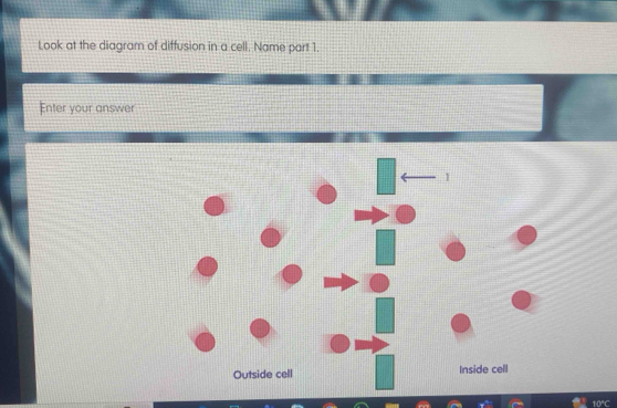 Solved: Look at the diagram of diffusion in a cell. Name part 1. Enter ...