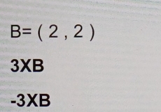 B=(2,2)
3XB
-3XB