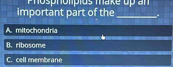 Phospholipids make up an
important part of the_
.
A. mitochondria
B. ribosome
C. cell membrane