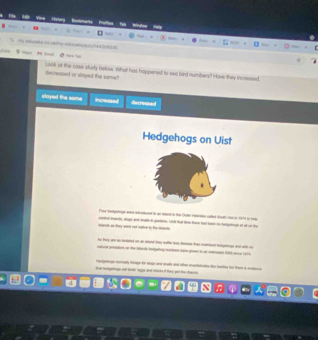 id View History Bookmarks Profiles Tab Window Help
Nate
Pael : Weke Eu
my.edusake.co.uk/my-edusake/quiz/144209335
Magus M Qull Ne= Tab
Look at the case study below. What has happened to sea bird numbers? Have they increased,
decreased or stayed the same?
stayed the same increased decreased
Hedgehogs on Uist
Four hedgehogs were introduced to an island in the Outer Hebrides called flouth Uist in 1974 to help
control insects, slugs and snalts in gardens. Unfil that time there had been no hedgehogs at all on the
islands as they were not native to the islands.
As they are so isolated on an island they suffer less disease than mainland hedgehogs and with no
natural predators on the islands hedgehog numbers have grown to an estimated 5000 since 1974.
Hedgehogs normally forage for slugs and snails and other invertebrates like beetles but there is evidence
that hedgehogs eat birds' eggs and chicks if they get the chance