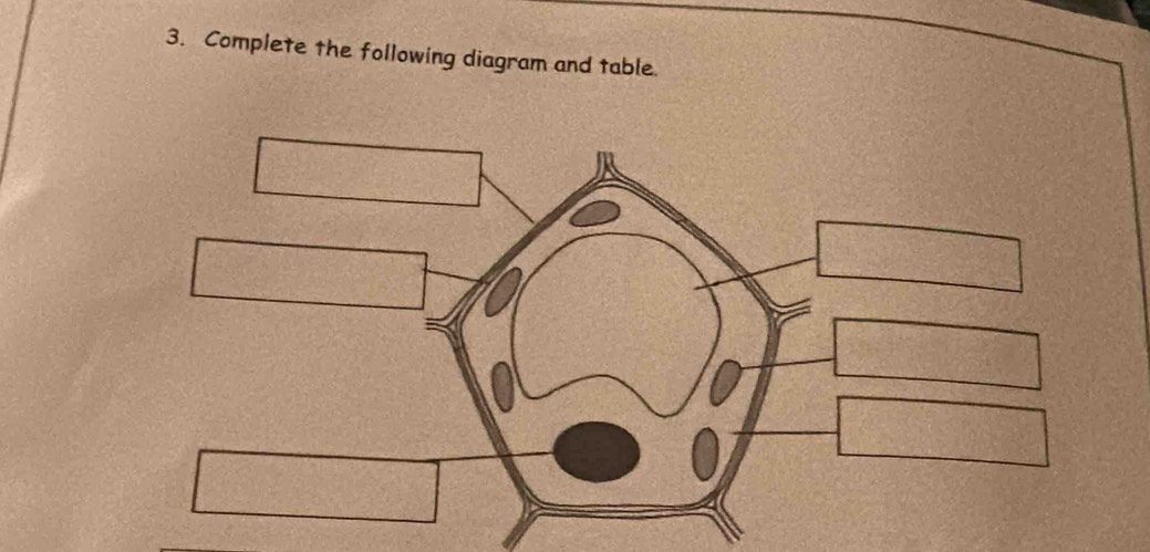 Complete the following diagram and table