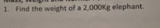 Find the weight of a 2,000Kg elephant.