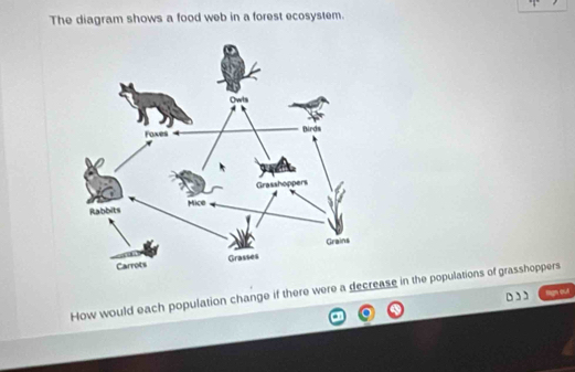 Solved: The diagram shows a food web in a forest ecosystem. How would ...