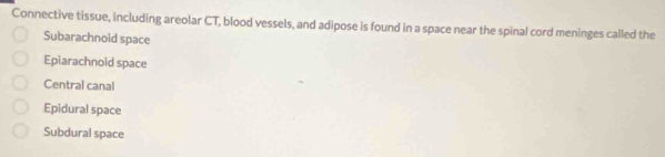 Connective tissue, including areolar CT, blood vessels, and adipose is found in a space near the spinal cord meninges called the
Subarachnoid space
Epiarachnoid space
Central canal
Epidural space
Subdural space