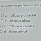 Las bacterías pertenecen a que
a. Células procarotas
b. Reino protistas
c. Células eucariotas
d. Reino animal