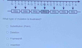 What type of mutation is illustrated?
Substitution (Point)
Deletion
Frameshift
Insertion