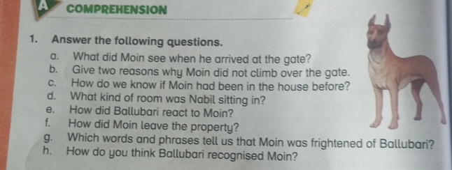 A COMPREHENSION 
1. Answer the following questions. 
a. What did Moin see when he arrived at the gate? 
b. Give two reasons why Moin did not climb over the gate. 
c. How do we know if Moin had been in the house before? 
d. What kind of room was Nabil sitting in? 
e. How did Ballubari react to Moin? 
f. How did Moin leave the property? 
g. Which words and phrases tell us that Moin was frightened of Ballubari? 
h. How do you think Ballubari recognised Moin?