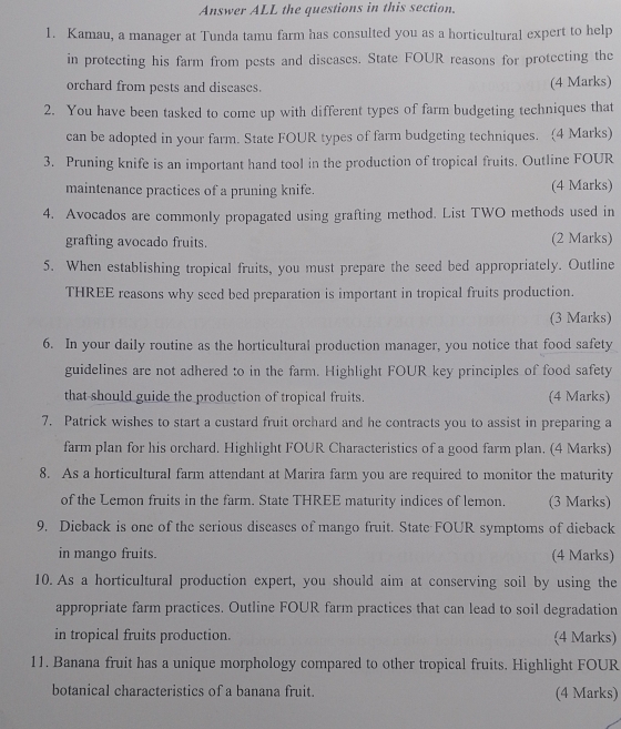 Answer ALL the questions in this section. 
1. Kamau, a manager at Tunda tamu farm has consulted you as a horticultural expert to help 
in protecting his farm from pests and discases. State FOUR reasons for protecting the 
orchard from pests and diseases. (4 Marks) 
2. You have been tasked to come up with different types of farm budgeting techniques that 
can be adopted in your farm. State FOUR types of farm budgeting techniques. (4 Marks) 
3. Pruning knife is an important hand tool in the production of tropical fruits. Outline FOUR 
maintenance practices of a pruning knife. (4 Marks) 
4. Avocados are commonly propagated using grafting method. List TWO methods used in 
grafting avocado fruits. (2 Marks) 
5. When establishing tropical fruits, you must prepare the seed bed appropriately. Outline 
THREE reasons why seed bed preparation is important in tropical fruits production. 
(3 Marks) 
6. In your daily routine as the horticultural production manager, you notice that food safety 
guidelines are not adhered to in the farm. Highlight FOUR key principles of food safety 
that should guide the production of tropical fruits. (4 Marks) 
7. Patrick wishes to start a custard fruit orchard and he contracts you to assist in preparing a 
farm plan for his orchard. Highlight FOUR Characteristics of a good farm plan. (4 Marks) 
8. As a horticultural farm attendant at Marira farm you are required to monitor the maturity 
of the Lemon fruits in the farm. State THREE maturity indices of lemon. (3 Marks) 
9. Dieback is one of the serious diseases of mango fruit. State FOUR symptoms of dieback 
in mango fruits. (4 Marks) 
10. As a horticultural production expert, you should aim at conserving soil by using the 
appropriate farm practices. Outline FOUR farm practices that can lead to soil degradation 
in tropical fruits production. (4 Marks) 
11. Banana fruit has a unique morphology compared to other tropical fruits. Highlight FOUR 
botanical characteristics of a banana fruit. (4 Marks)