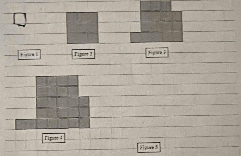 Figure 1 Figure 2 Figure 3 
Figuze 4 
Figure 5