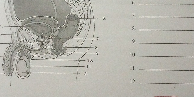 6._ 
7._ 
1. 
8._ 
9._ 
10._ 
11、_ 
12._