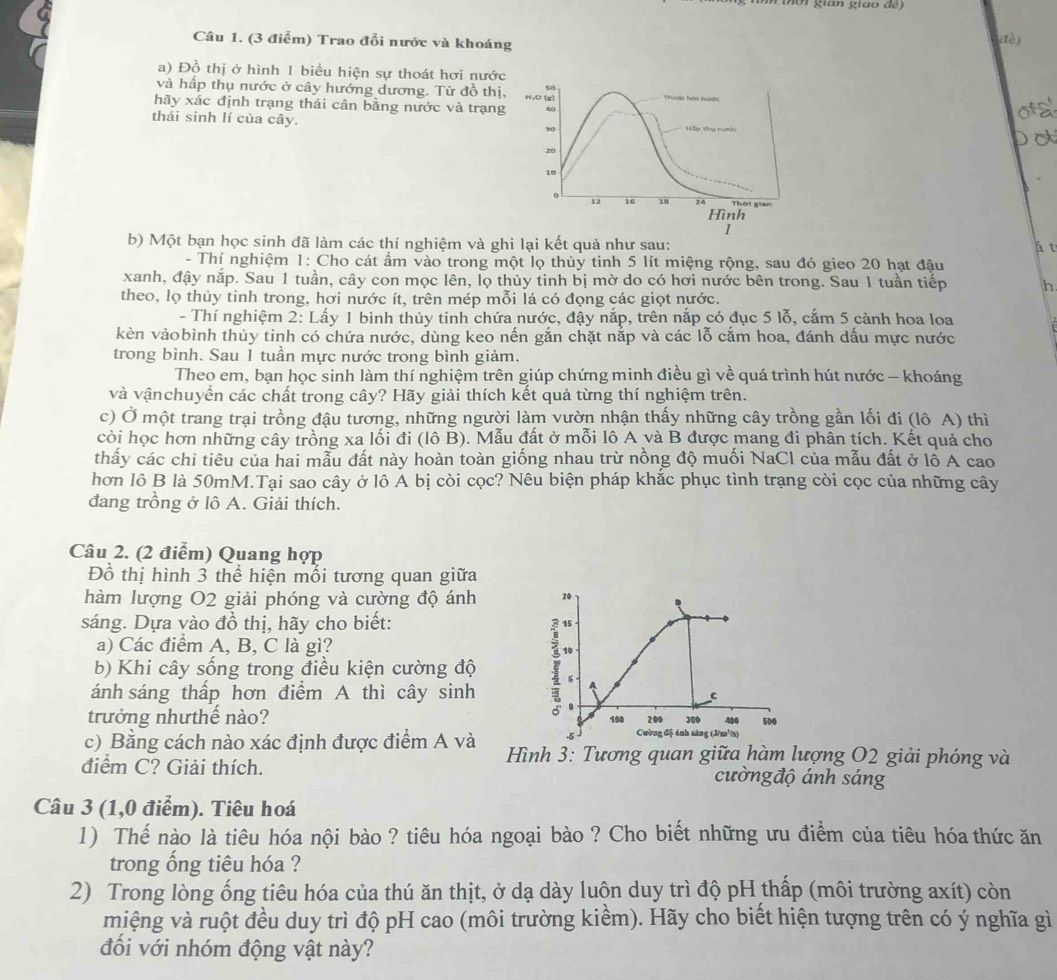gián giao de 
Câu 1. (3 điểm) Trao đổi nước và khoáng
t_c
a) Đồ thị ở hình 1 biểu hiện sự thoát hơi nước
và hấp thụ nước ở cây hướng dương. Từ đồ thị,
hãy xác định trạng thái cân bằng nước và trạng
ota
thái sinh lí của cây. 
b) Một bạn học sinh đã làm các thí nghiệm và ghi lại kết quả như sau: á t
- Thí nghiệm 1: Cho cát ẩm vào trong một lọ thủy tinh 5 lít miệng rộng, sau đó gieo 20 hạt đậu
xanh, đậy nắp. Sau 1 tuần, cây con mọc lên, lọ thủy tinh bị mờ do có hơi nước bên trong. Sau 1 tuần tiếp h
theo, lọ thủy tinh trong, hơi nước ít, trên mép mỗi lá có đọng các giọt nước.
- Thí nghiệm 2: Lấy 1 bình thủy tinh chứa nước, đậy nắp, trên nắp có đục 5 lỗ, cắm 5 cành hoa loa
kèn vàobình thủy tinh có chứa nước, dùng keo nến gắn chặt nắp và các lỗ cắm hoa, đánh dấu mực nước
trong bình. Sau 1 tuần mực nước trong bình giảm.
Theo em, bạn học sinh làm thí nghiệm trên giúp chứng minh điều gì về quá trình hút nước - khoáng
và vậnchuyển các chất trong cây? Hãy giải thích kết quả từng thí nghiệm trên.
c) Ở một trang trại trồng đậu tương, những người làm vườn nhận thấy những cây trồng gần lối đi (lô A) thì
còi học hơn những cây trồng xa lối đi (lô B). Mẫu đất ở mỗi lô A và B được mang đi phân tích. Kết quả cho
thấy các chi tiêu của hai mẫu đất này hoàn toàn giống nhau trừ nồng độ muối NaCl của mẫu đất ở lỗ A cao
hơn lô B là 50mM.Tại sao cây ở lô A bị còi cọc? Nêu biện pháp khắc phục tình trạng còi cọc của những cây
đang trồng ở lô A. Giải thích.
Câu 2. (2 điểm) Quang hợp
Đồ thị hình 3 thể hiện mối tương quan giữa
hàm lượng O2 giải phóng và cường độ ánh 20
sáng. Dựa vào đồ thị, hãy cho biết: 15
a) Các điểm A, B, C là gì?
10
b) Khi cây sống trong điều kiện cường độ 5
ánh sáng thấp hơn điểm A thì cây sinh C
.
trưởng nhưthế nào? 100 200 300 400 500
Cwờng độ ánh sáng (J/m²/s)
c) Bằng cách nào xác định được điểm A và  Hình 3: Tương quan giữa hàm lượng O2 giải phóng và
điểm C? Giải thích. cườngđộ ánh sáng
Câu 3 (1,0 điểm). Tiêu hoá
1) Thế nào là tiêu hóa nội bào ? tiêu hóa ngoại bào ? Cho biết những ưu điểm của tiêu hóa thức ăn
trong ống tiêu hóa ?
2) Trong lòng ống tiêu hóa của thú ăn thịt, ở dạ dày luôn duy trì độ pH thấp (môi trường axít) còn
miệng và ruột đều duy trì độ pH cao (môi trường kiềm). Hãy cho biết hiện tượng trên có ý nghĩa gì
đối với nhóm động vật này?