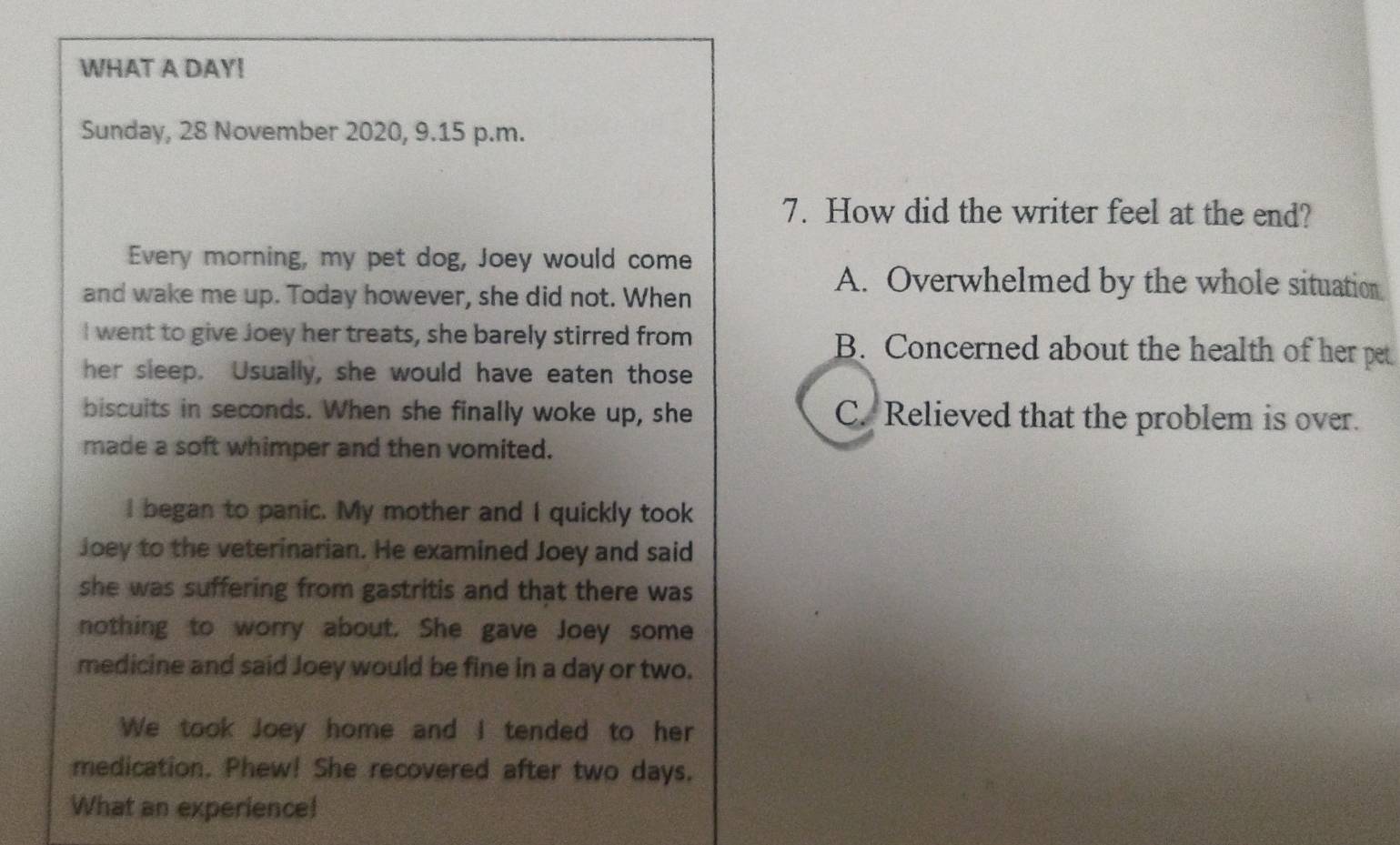 WHAT A DAY!
Sunday, 28 November 2020, 9.15 p.m.
7. How did the writer feel at the end?
Every morning, my pet dog, Joey would come
and wake me up. Today however, she did not. When
A. Overwhelmed by the whole situation
I went to give Joey her treats, she barely stirred from B. Concerned about the health of her pet
her sleep. Usually, she would have eaten those
biscuits in seconds. When she finally woke up, she C. Relieved that the problem is over.
made a soft whimper and then vomited.
I began to panic. My mother and I quickly took
Joey to the veterinarian. He examined Joey and said
she was suffering from gastritis and that there was
nothing to worry about. She gave Joey some
medicine and said Joey would be fine in a day or two.
We took Joey home and I tended to her
medication. Phew! She recovered after two days.
What an experience!