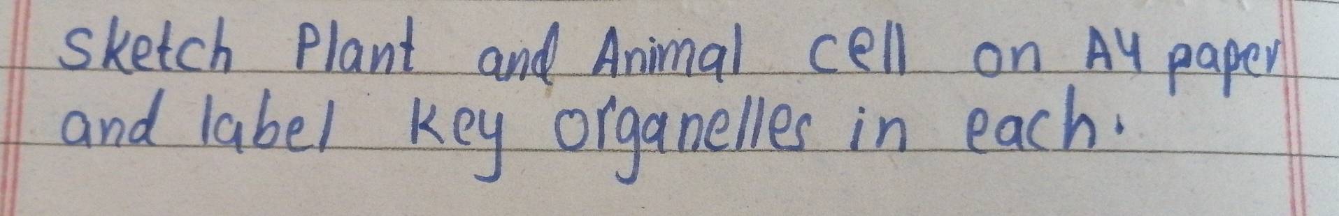 sketch Plant and Animal cell on Ay paper 
and label key organelles in each.