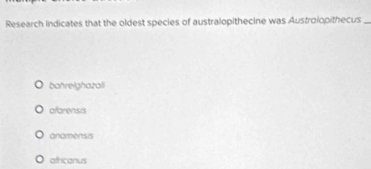 Research indicates that the oldest species of australopithecine was Austroiopithecus_
bahrelghazali
afarensis
anamensis
africanus