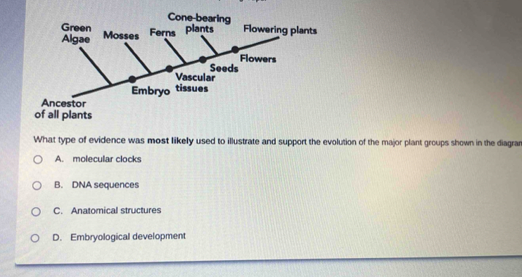 What type of evidence was most likely used to illustrate and support the evolution of the major plant groups shown in the diagran
A. molecular clocks
B. DNA sequences
C. Anatomical structures
D. Embryological development